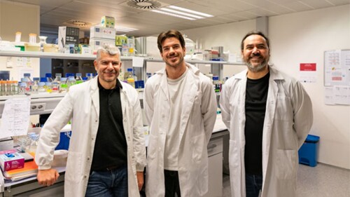 Plantas con el triple de vitamina E.jpg